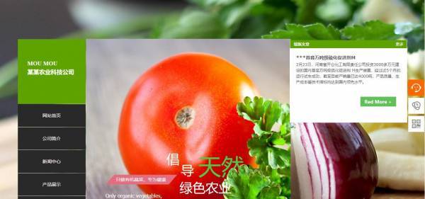 网页版式设计分析_网页版式设计图片_